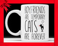 Funny Cat Ceramic Coffee Mug: Cat Lover Gift